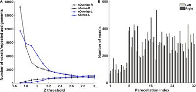 Functional Subdivisions of the Cerebellum in Naturalistic Paradigm Functional Magnetic Resonance Imaging